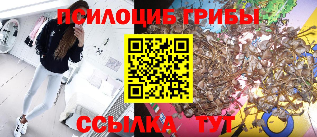 Галлюциногенные грибы ЛСД Большой Камень
