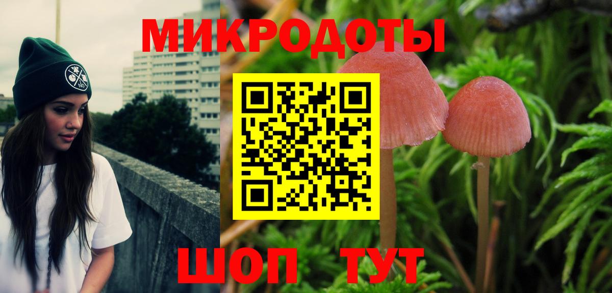 Большой Камень  Псилоцибиновые грибы Cubensis  Псилоцибиновые грибы мухоморы  Вход с VPN 
